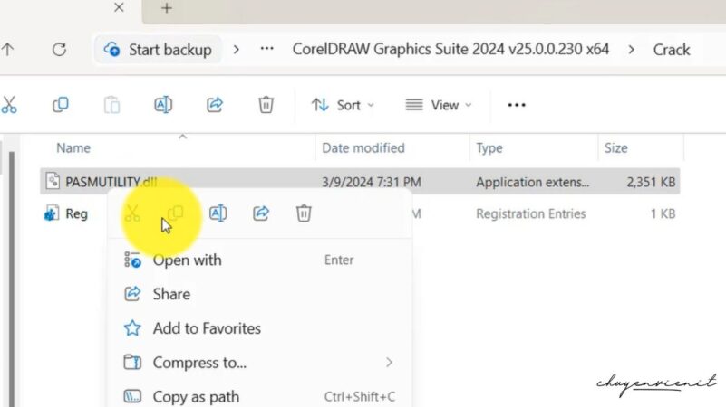 vao-file-crack-copy-pasmutility Vào file crack copy Pasmutility.dll